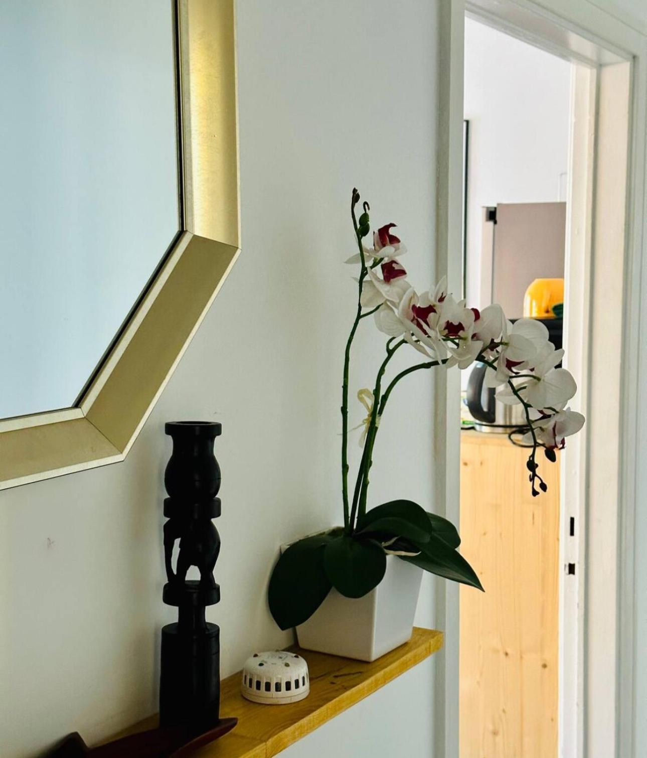 Self-Check In Sunny & Charming Apt Coimbra Exterior photo